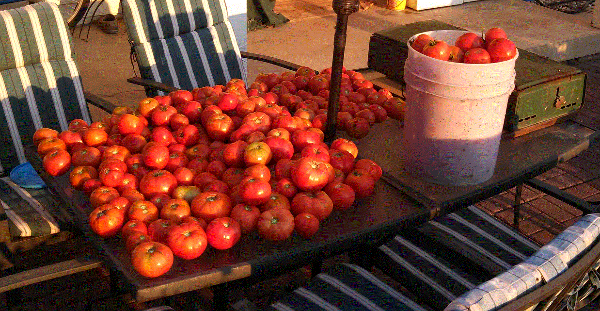 Homegrown Tomatoes.gif